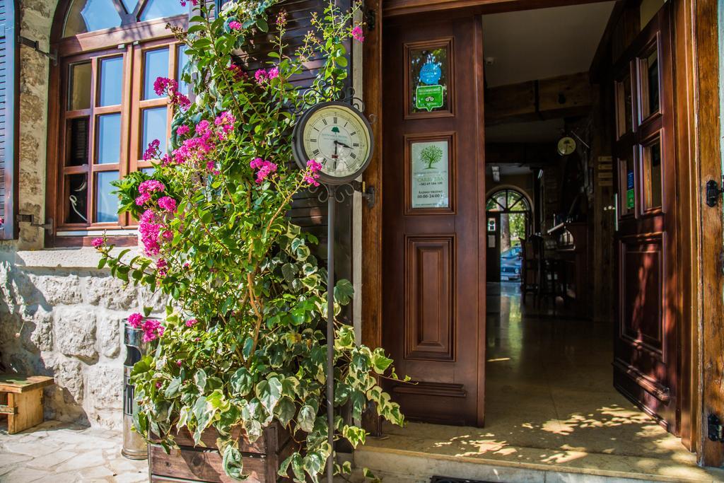Eco Hotel Carrubba Donja Lastva Exterior foto